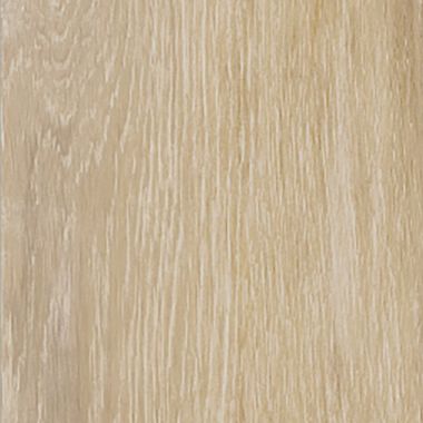 Rainforest Ivory 20x60