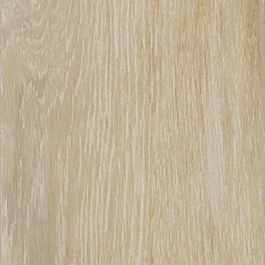 Rainforest Ivory 20x60