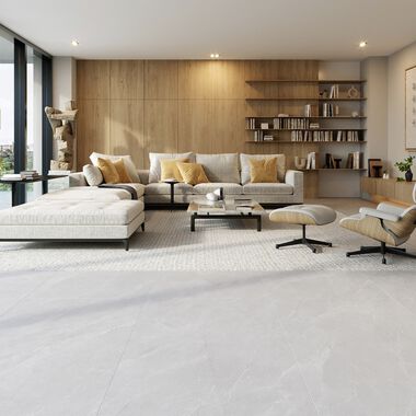 &Aacute;rea Com&uacute;n Omnia Beige con Gris