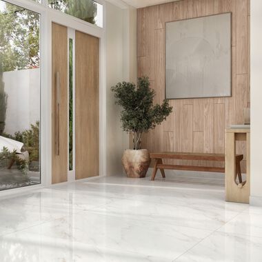 &Aacute;rea Com&uacute;n Savoy Beige con Blanco