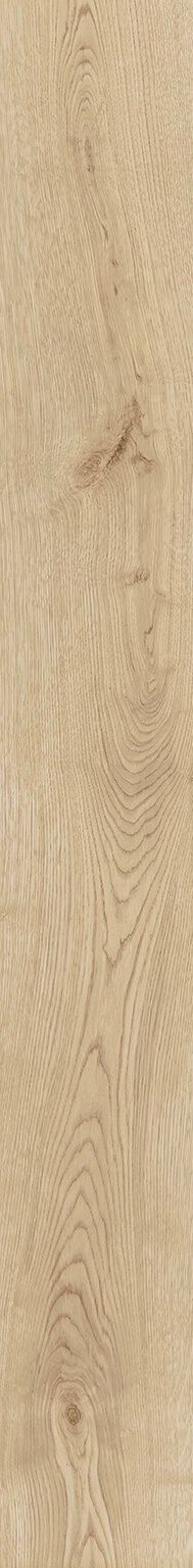 Heartwood
