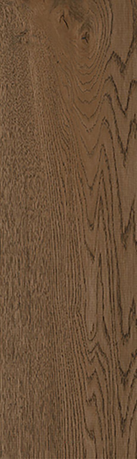 Lugano image number null