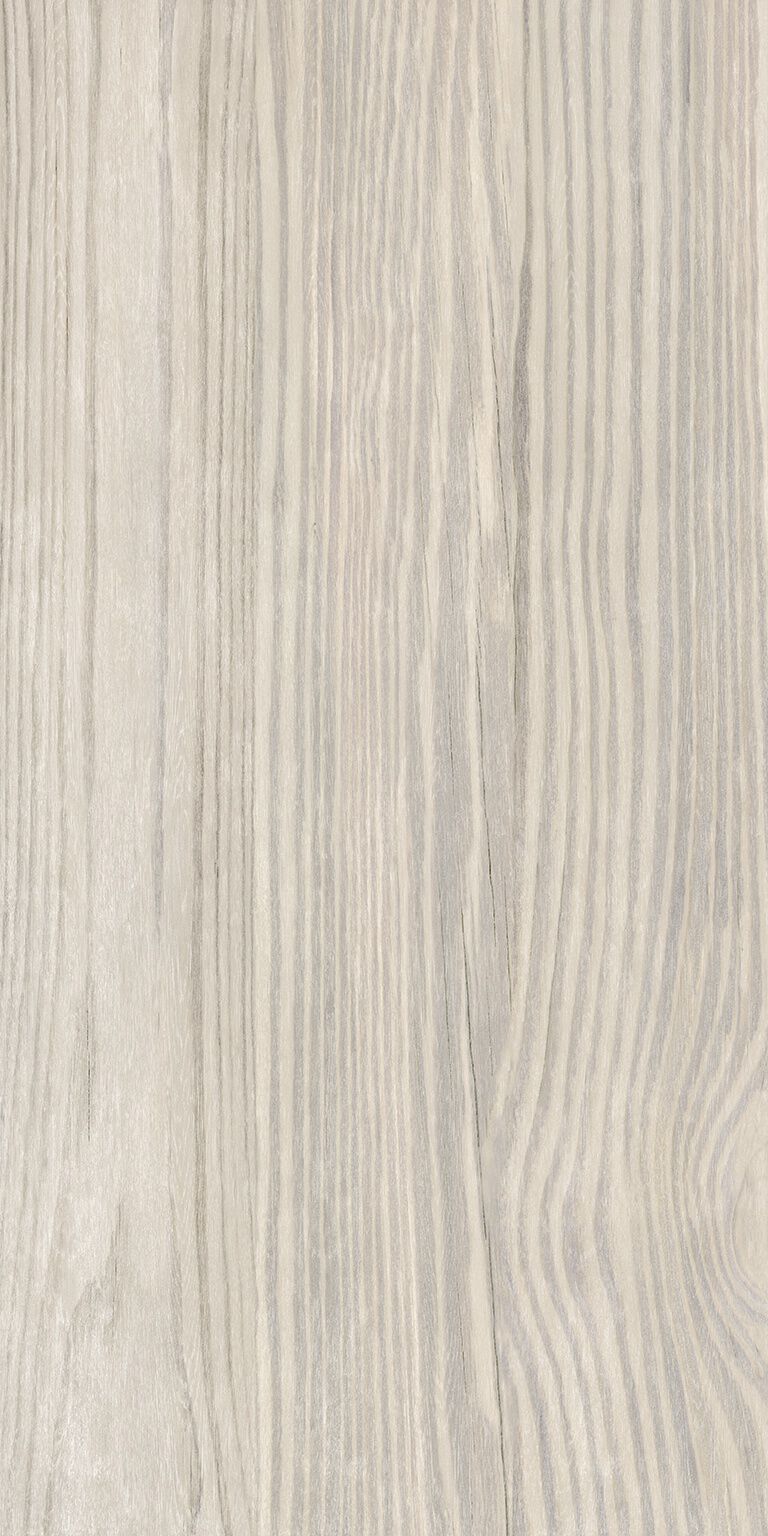 Amazonia image number null