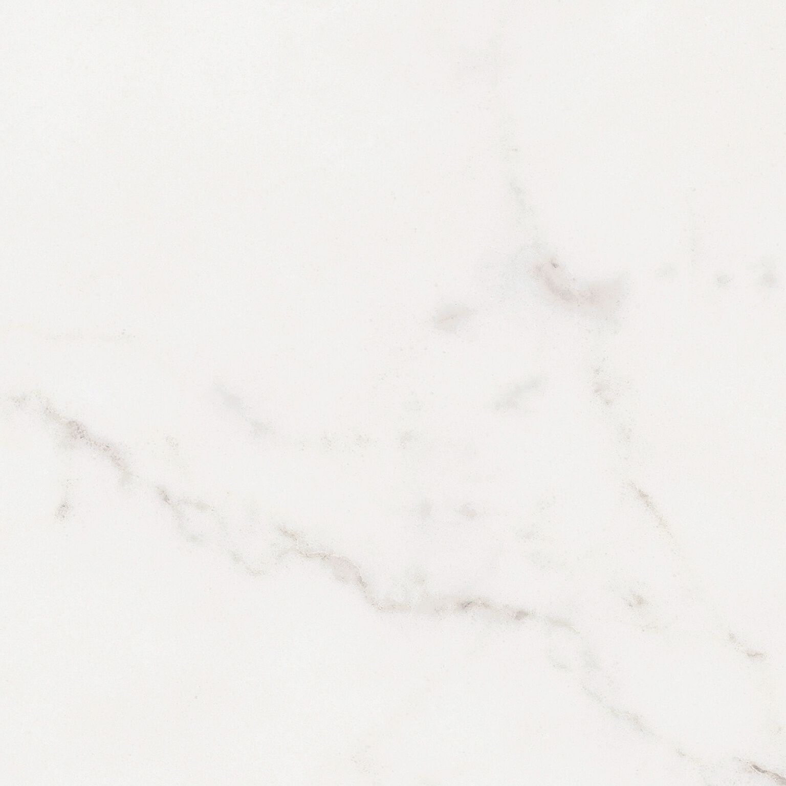 Galapagos image number null