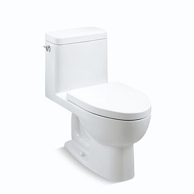 Sanitario una pieza descarga sencilla línea Reach