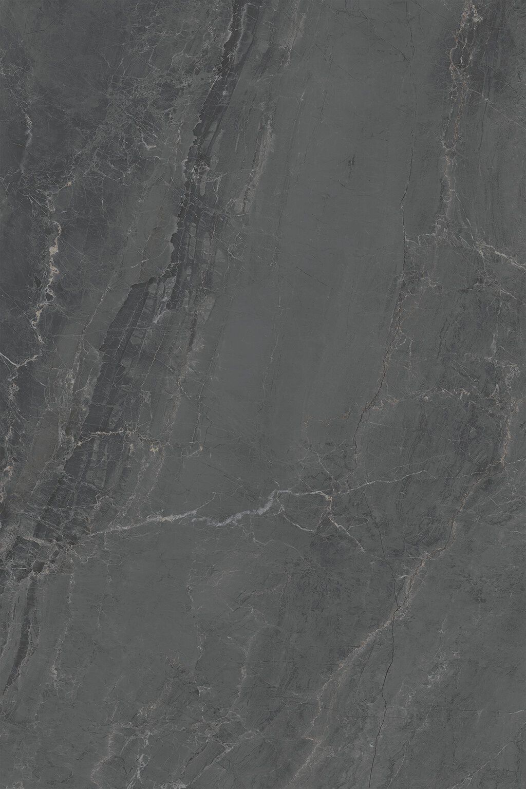 Lucentia image number null