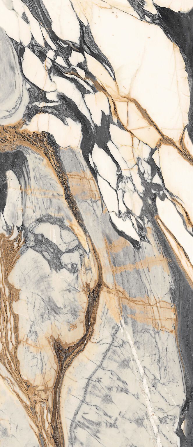 Exotic Marbles image number null