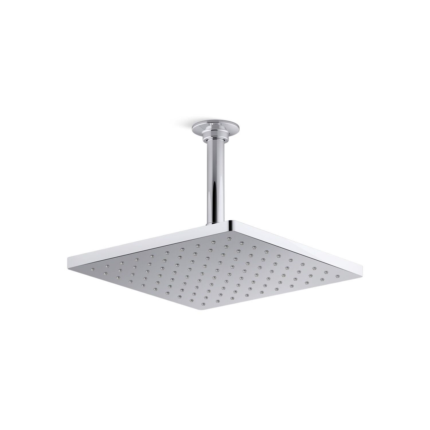 Cebolleta Honesty image number null